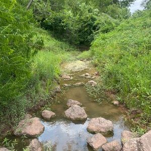 Meet your Posher, Sadie